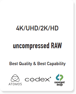 Panasonic Varicam LT uncompressed RAW