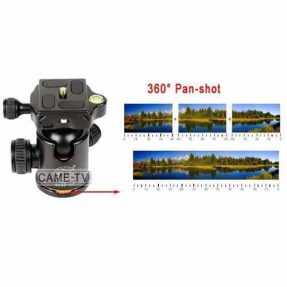 CAME-TV Tripod/Monopod Q66C 