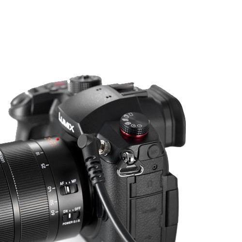 Panasonic LUMIX DC-GH5S - telo