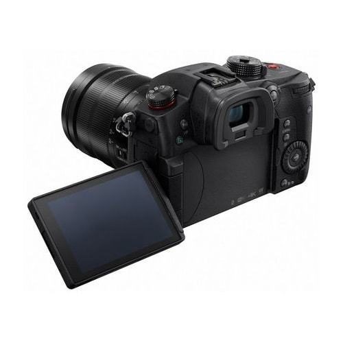 Panasonic LUMIX DC-GH5S - telo