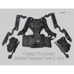 CAME-TV KONG-VF