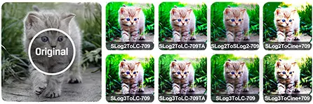 Lilliput Q7Pro