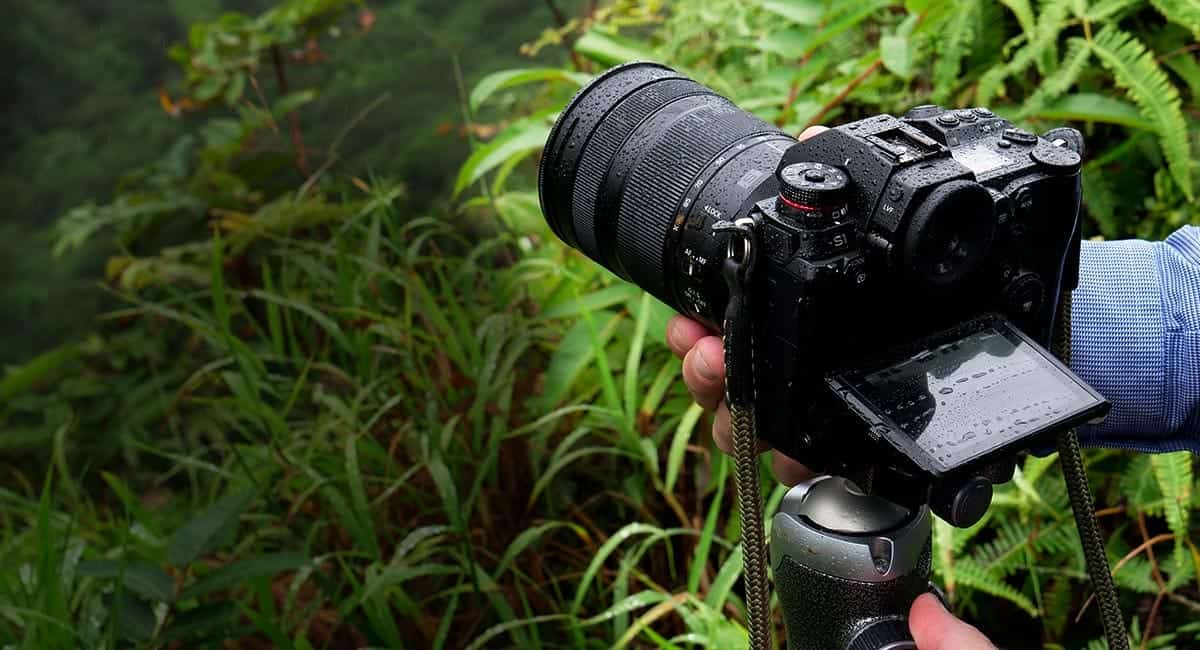 Panasonic LUMIX DC-S1