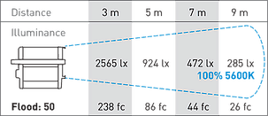 Rayzr7 300 Daylight Premium