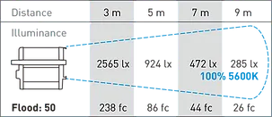 Rayzr7 300 Daylight Premium